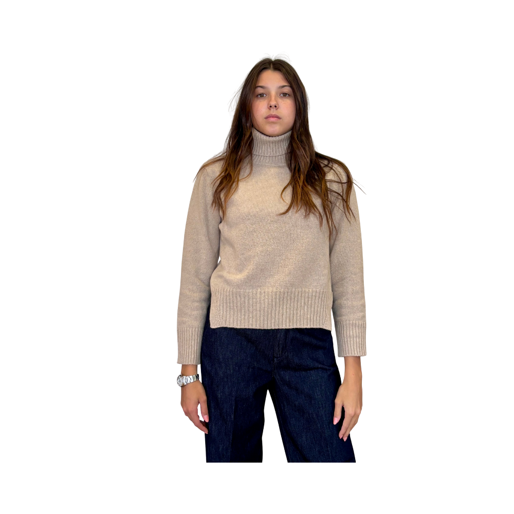 Dolcevita regular in lana e cashmere
